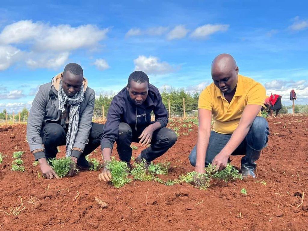 Livelihood improvement