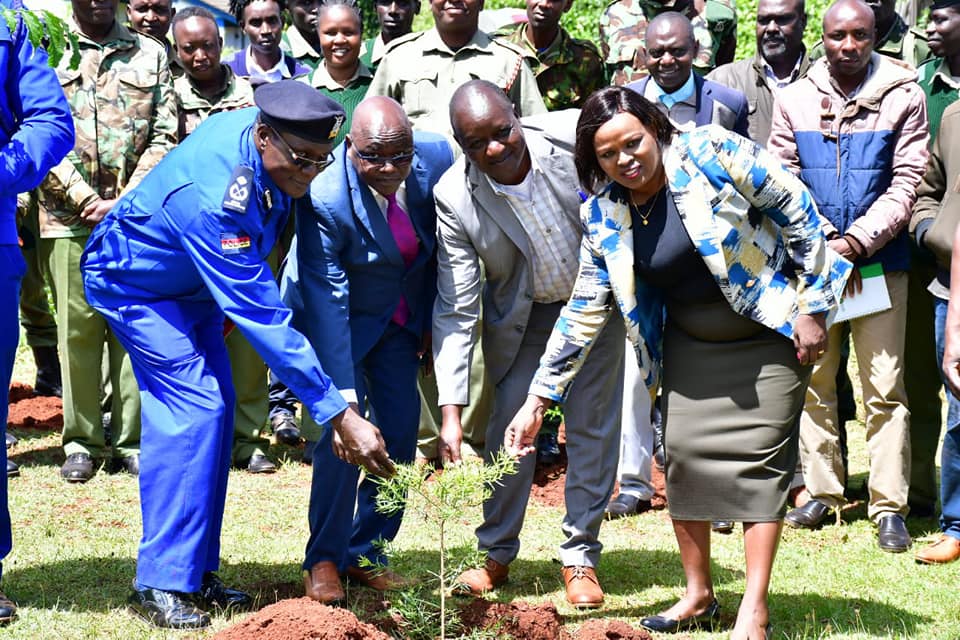 Regreening schools program