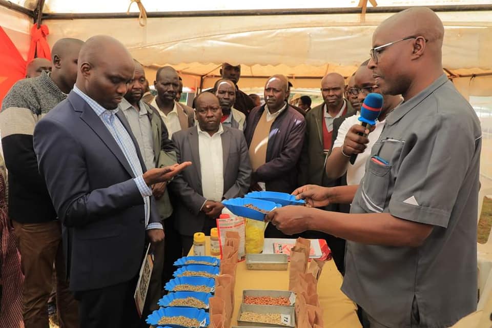 Alternative Source of income